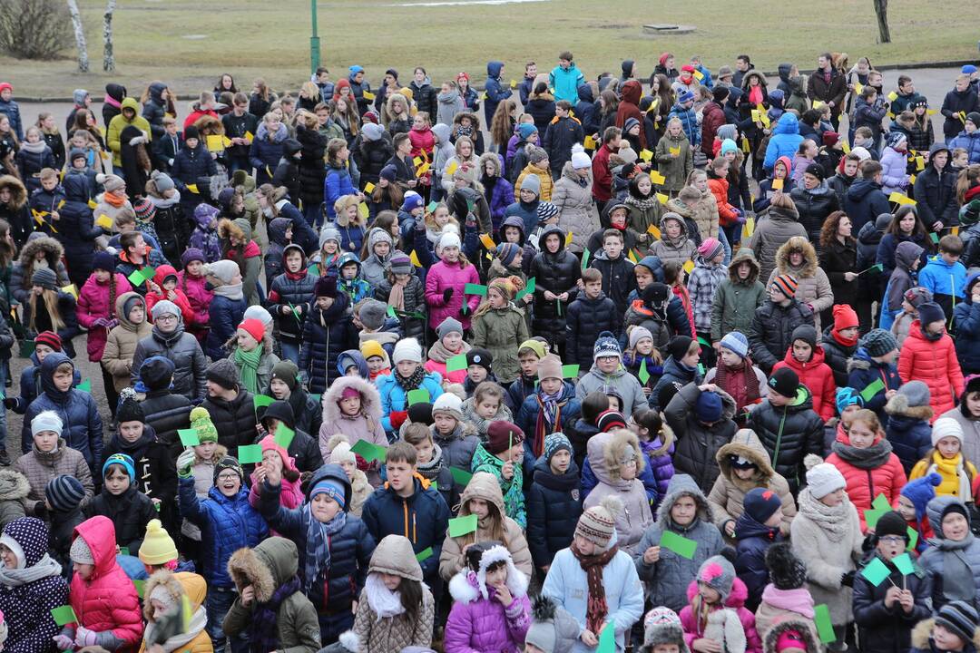 "Verdenės" mokyklos mokinių šokis