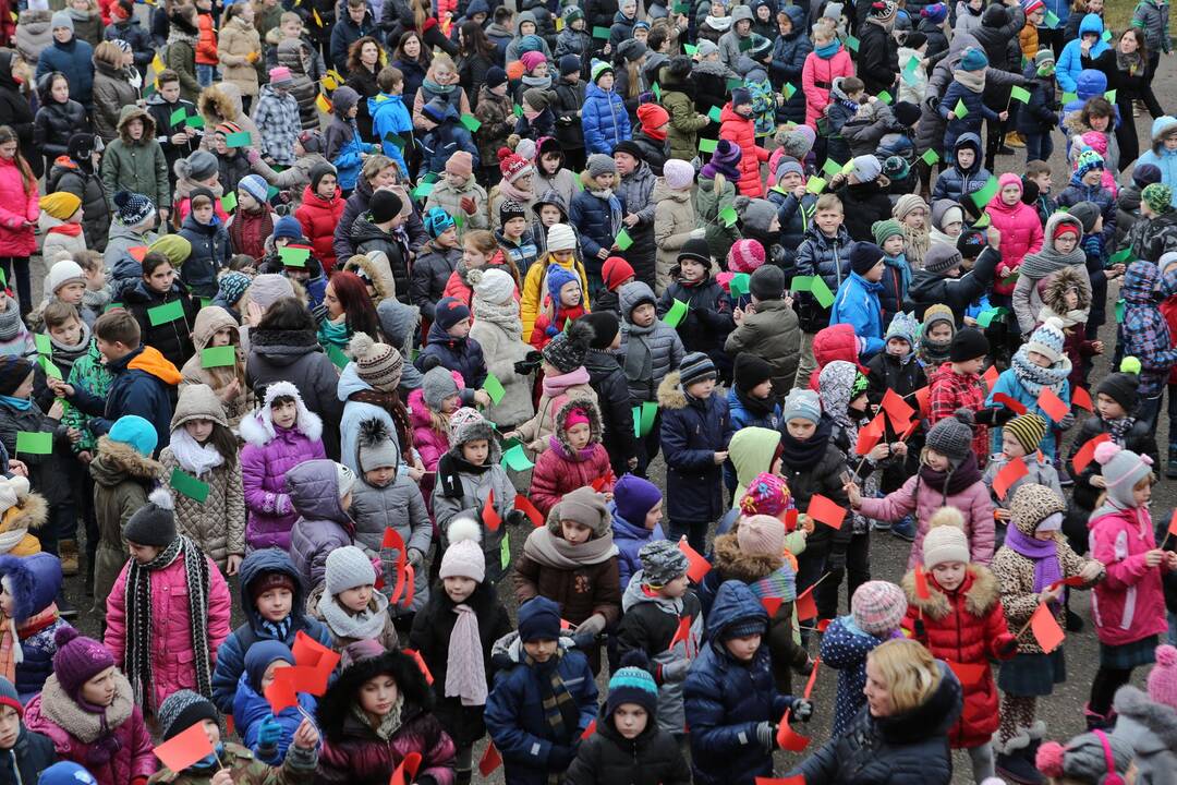 "Verdenės" mokyklos mokinių šokis