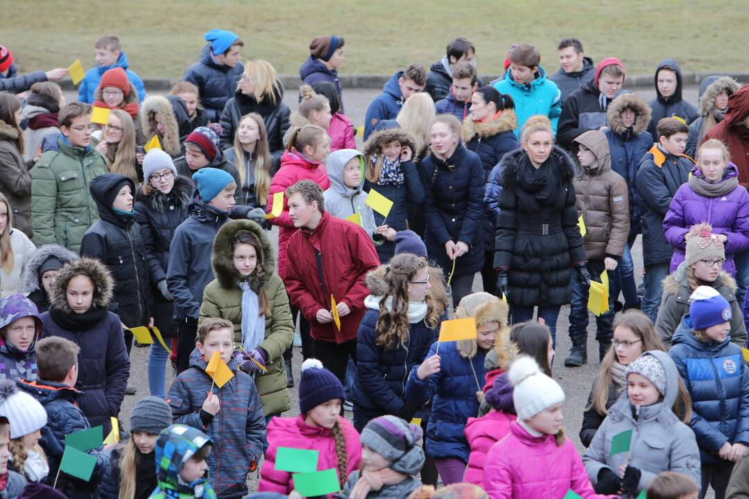 "Verdenės" mokyklos mokinių šokis