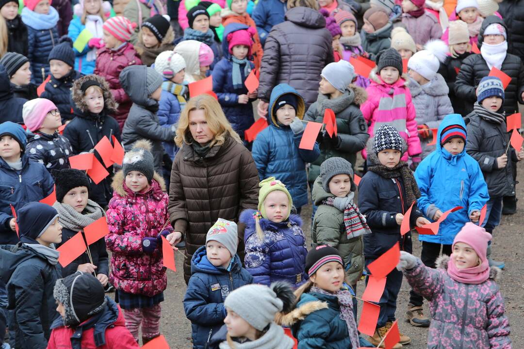 "Verdenės" mokyklos mokinių šokis