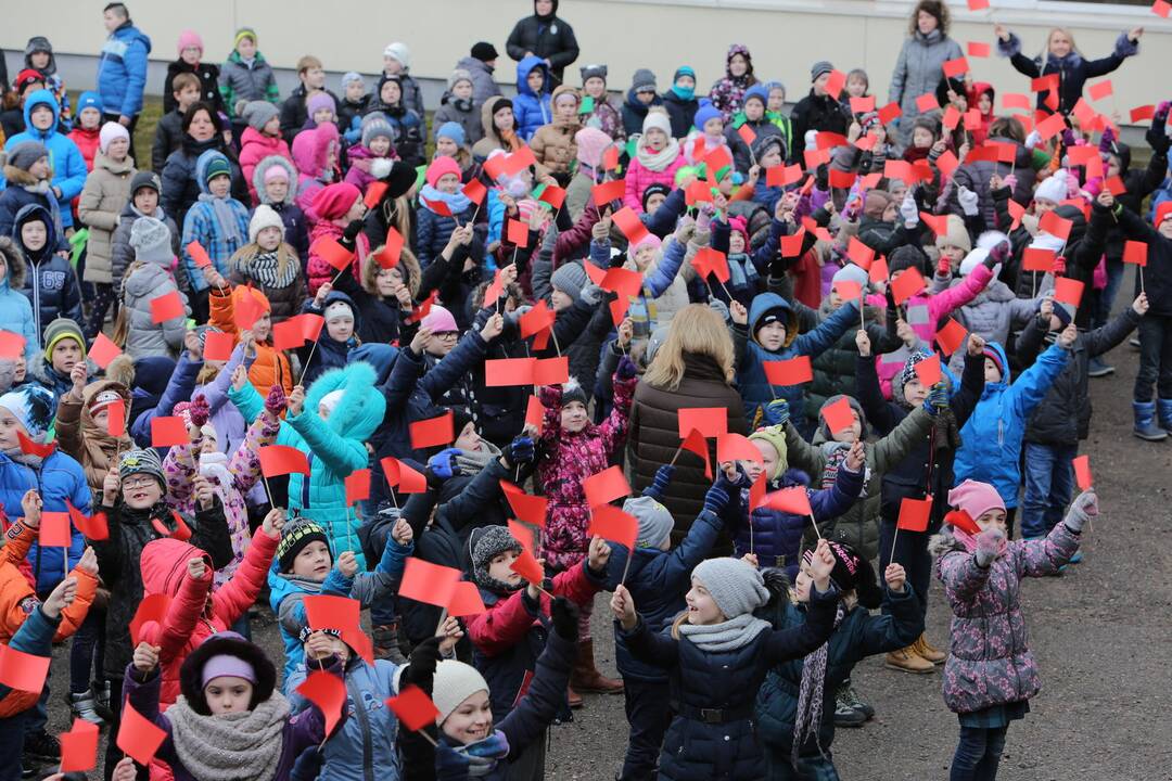 "Verdenės" mokyklos mokinių šokis