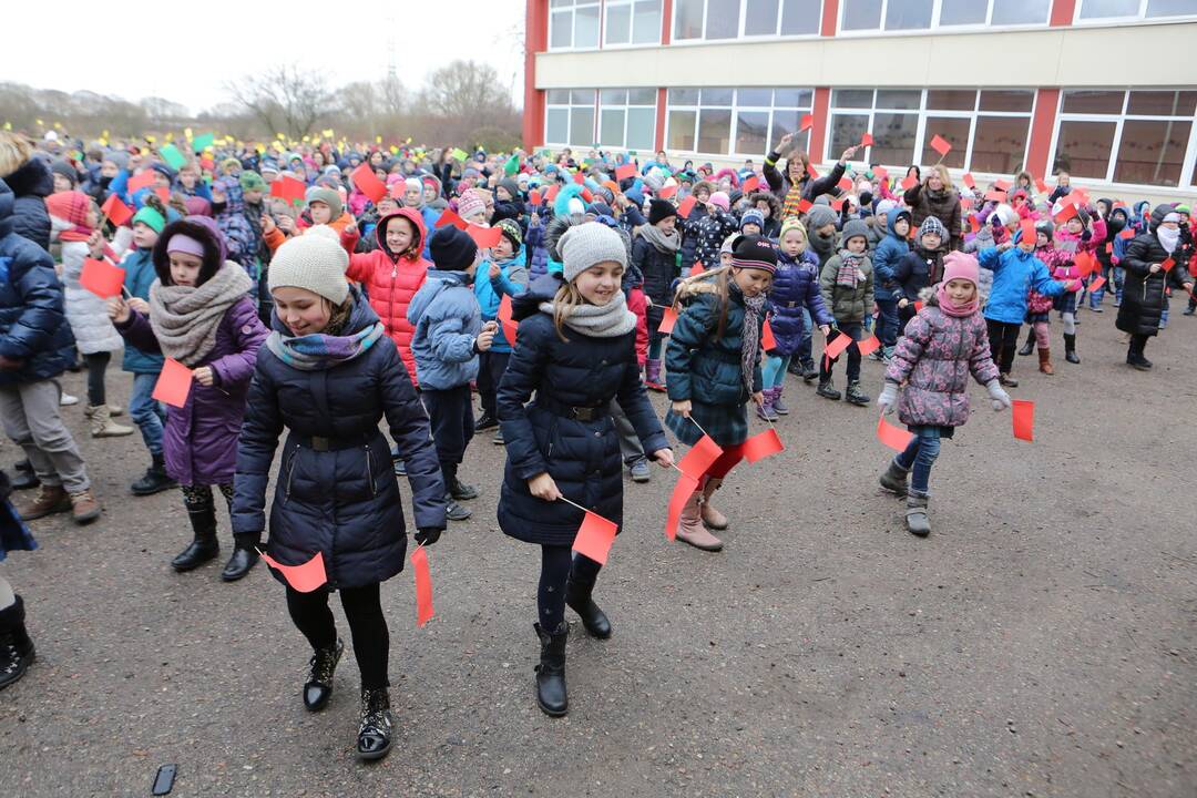 "Verdenės" mokyklos mokinių šokis