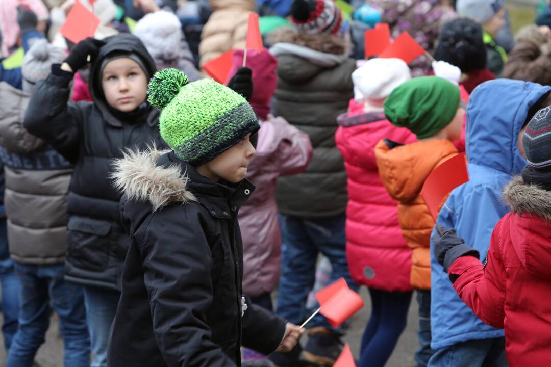 "Verdenės" mokyklos mokinių šokis