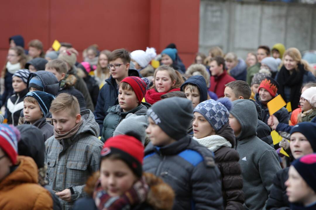 "Verdenės" mokyklos mokinių šokis