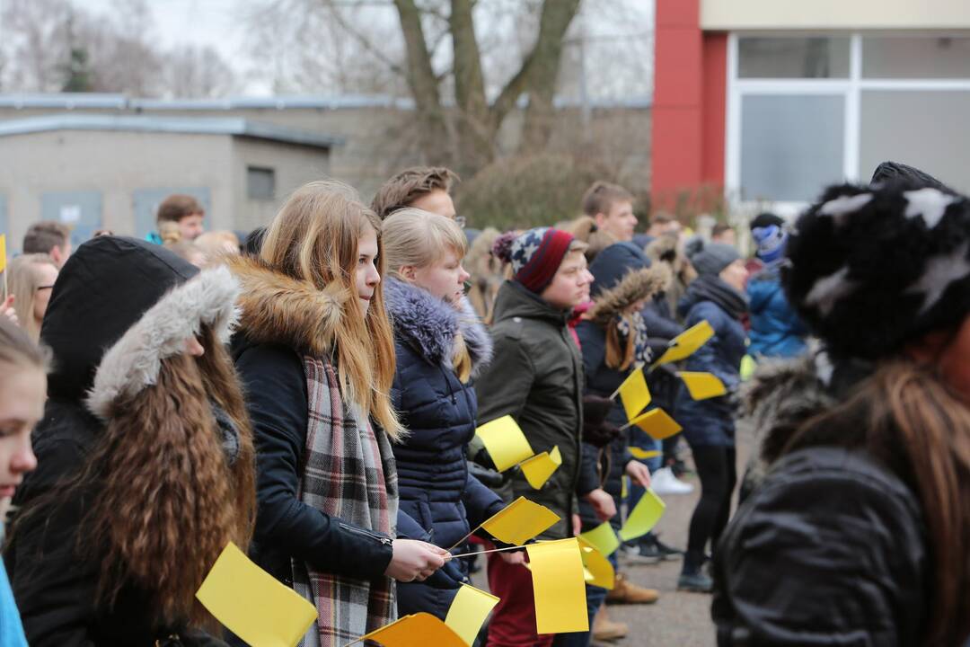 "Verdenės" mokyklos mokinių šokis