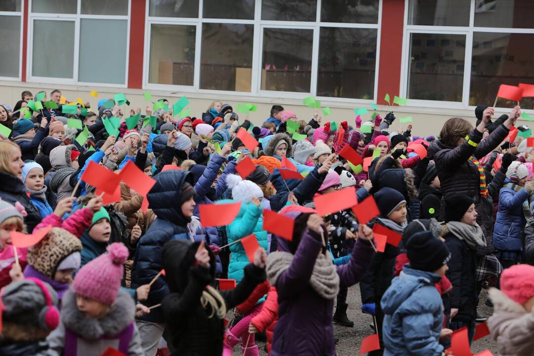 "Verdenės" mokyklos mokinių šokis