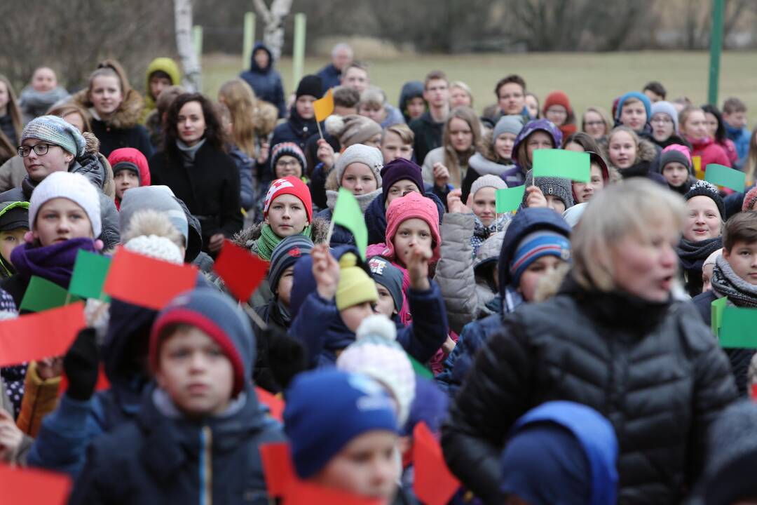 "Verdenės" mokyklos mokinių šokis