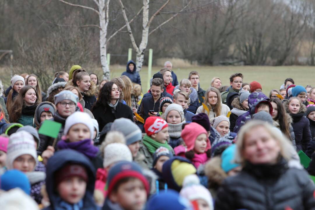 "Verdenės" mokyklos mokinių šokis