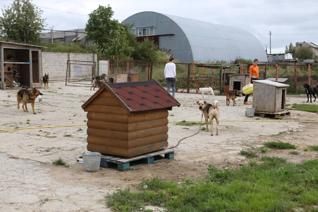 Meras lankėsi gyvūnų priežiūros centre