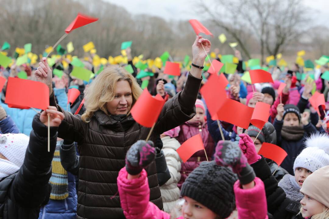 "Verdenės" mokyklos mokinių šokis