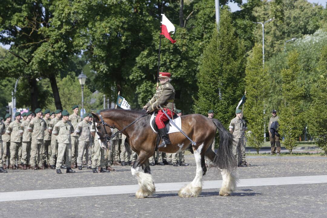 Dragūnų bataliono 30-metis