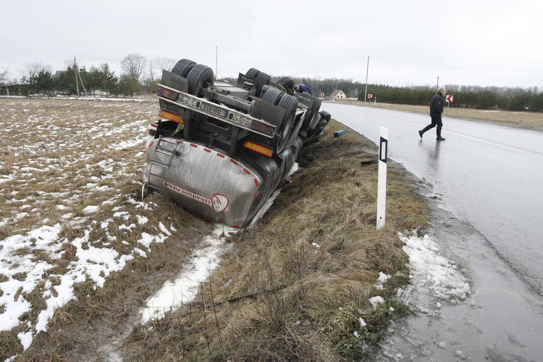 Klaipėdos rajone apsivertė pienovežis