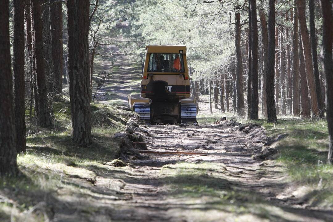 Kuršių nerijos gaisrą sutramdė gausios ugniagesių ir kariškių pajėgos