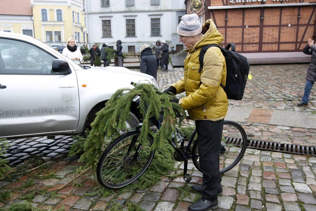 Eglės šakų dalinimas Klaipėdoje