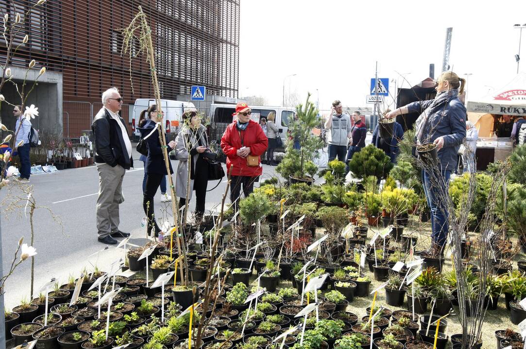 Klaipėdiečiai domisi statybos sektoriaus naujovėmis