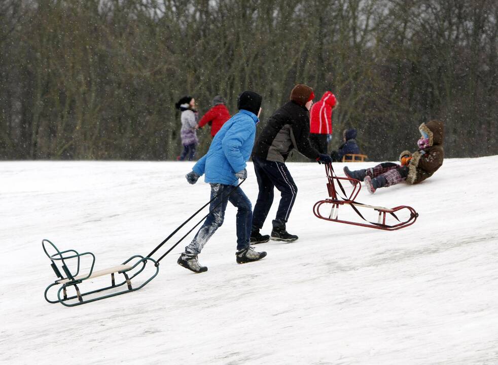 Sniego mūšis