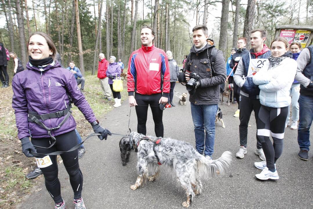 Šunų bėgimas Klaipėdoje