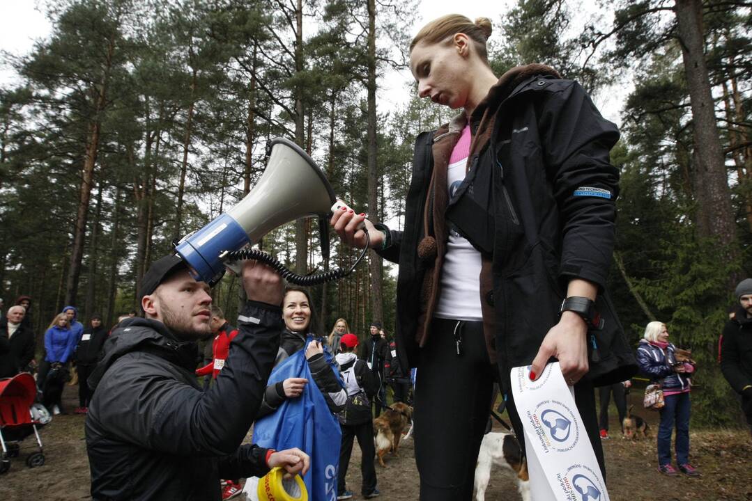 Šunų bėgimas Klaipėdoje