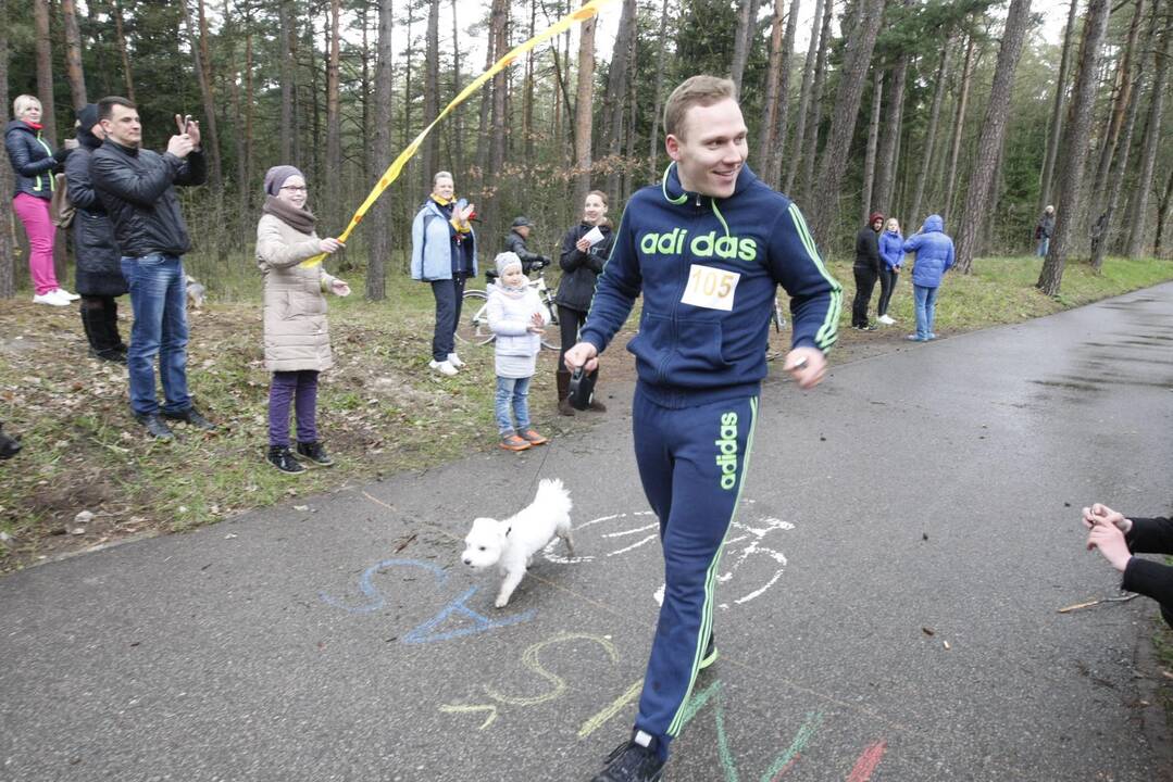 Šunų bėgimas Klaipėdoje