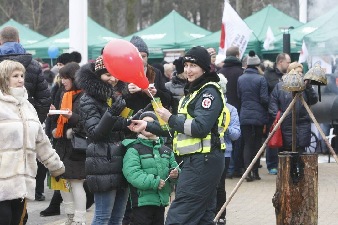 Palangoje prasidėjo tradicinė Stintų šventė