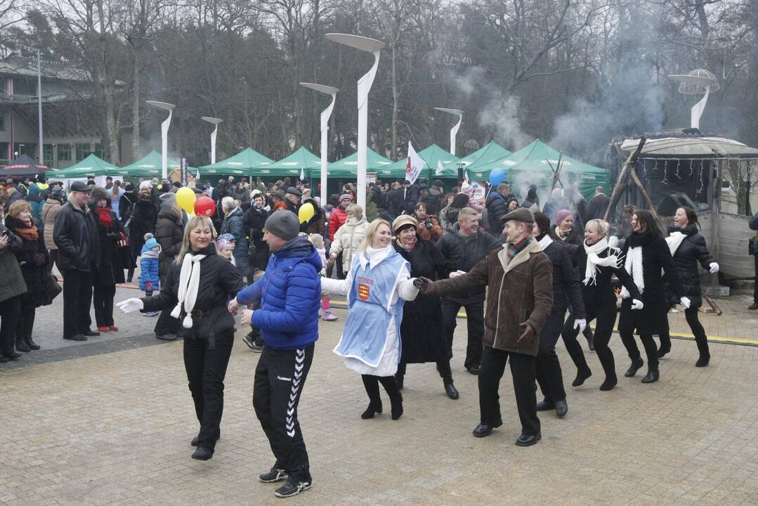 Palangoje prasidėjo tradicinė Stintų šventė