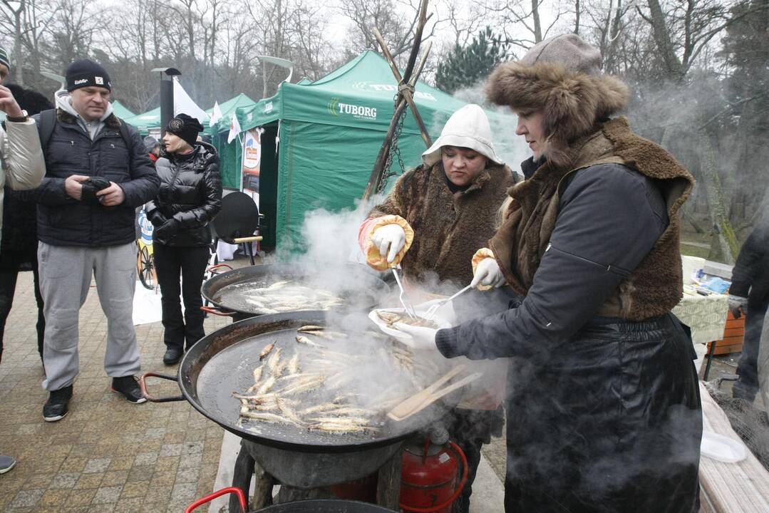 Palangoje prasidėjo tradicinė Stintų šventė