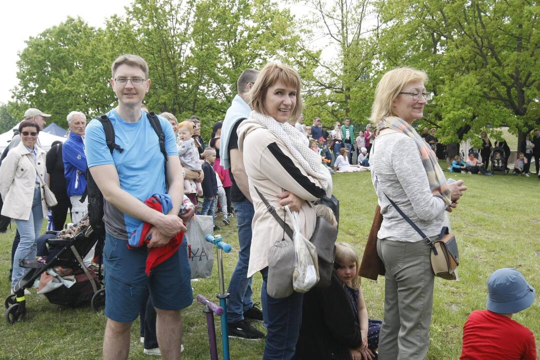 Laivų parade - pramogų vajus