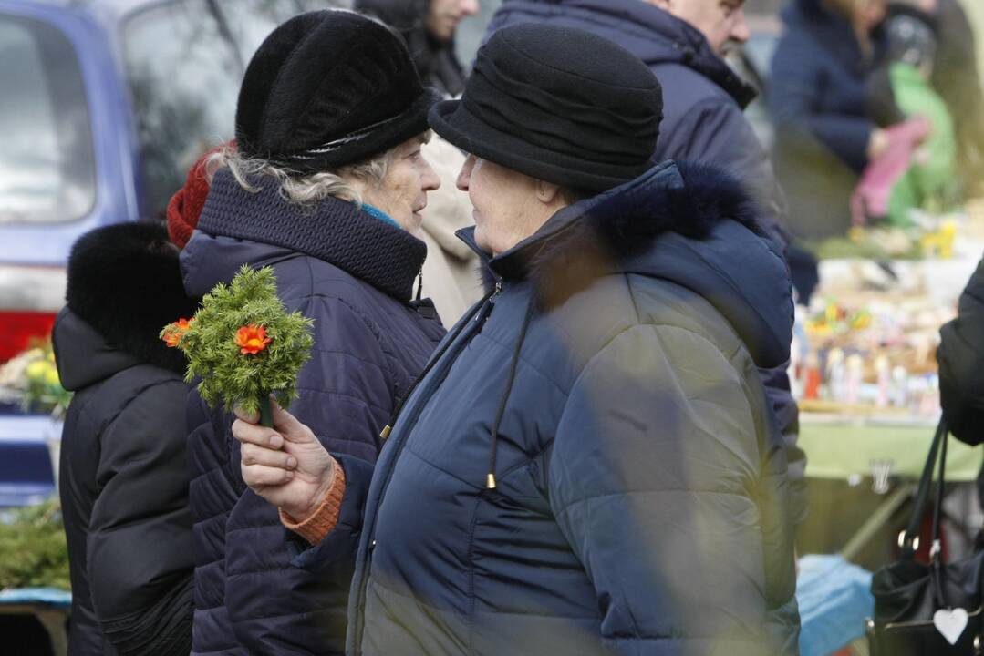 Verbų sekmadienis Klaipėdoje