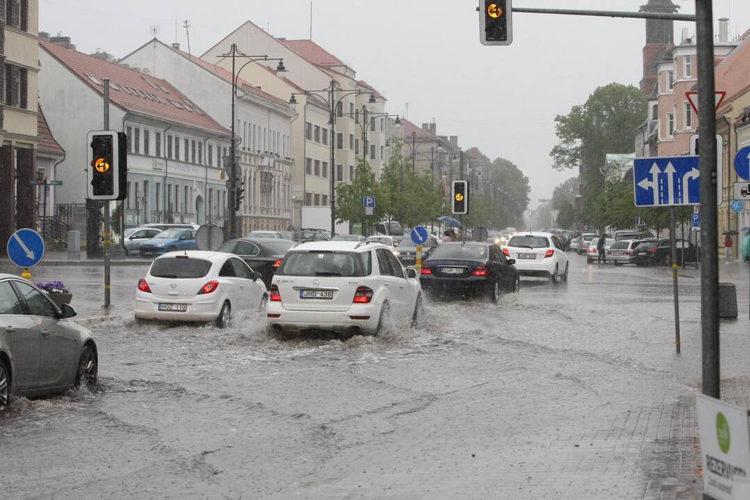 Liūtis Klaipėdoje