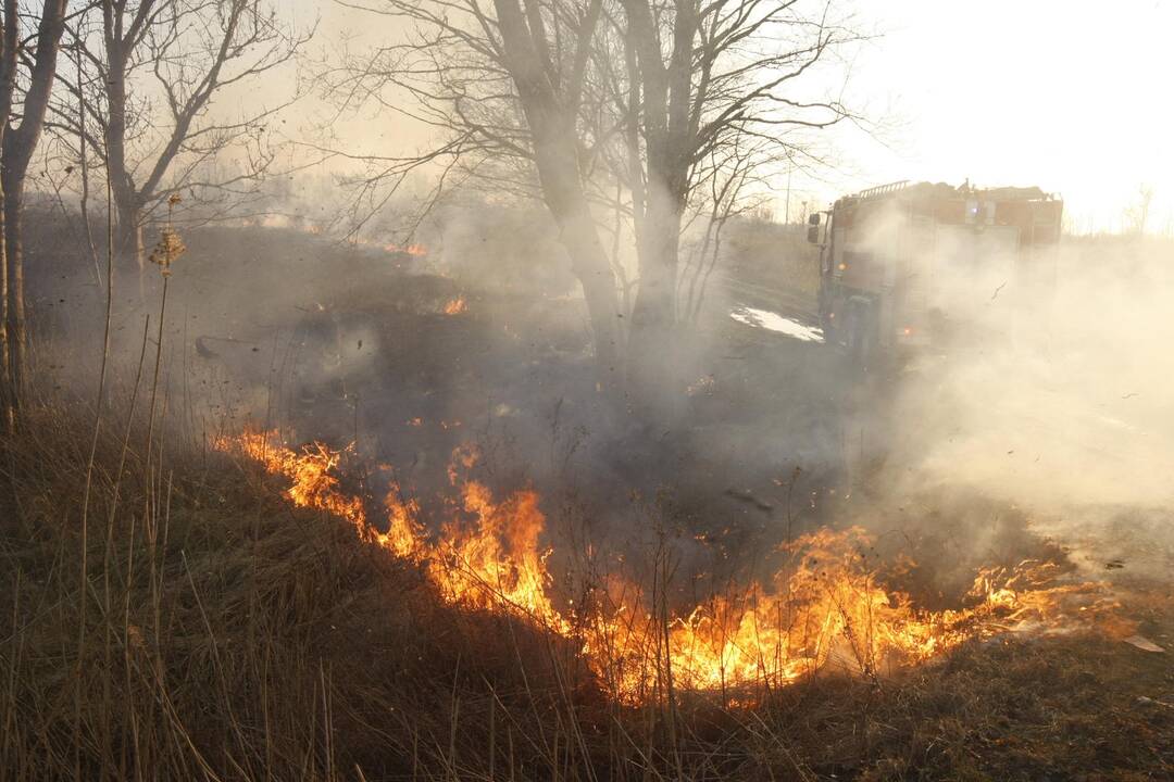 Klaipėdoje degė žolė