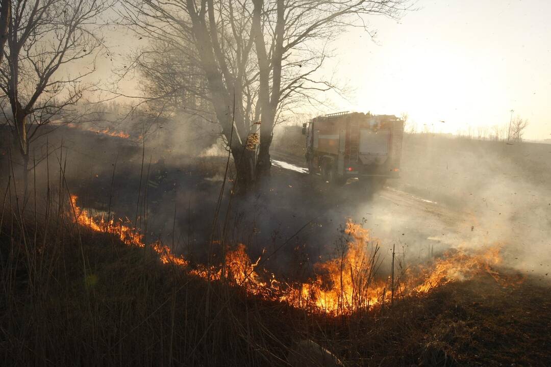 Klaipėdoje degė žolė