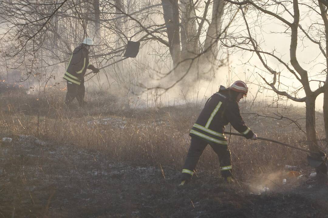 Klaipėdoje degė žolė