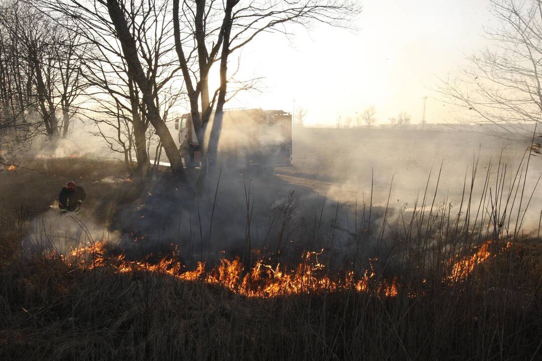 Klaipėdoje degė žolė