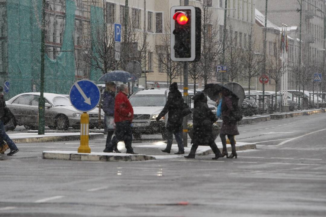 Pirmasis sniegas Klaipėdoje