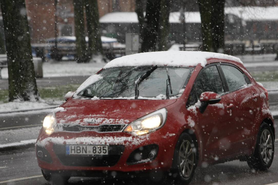 Pirmasis sniegas Klaipėdoje