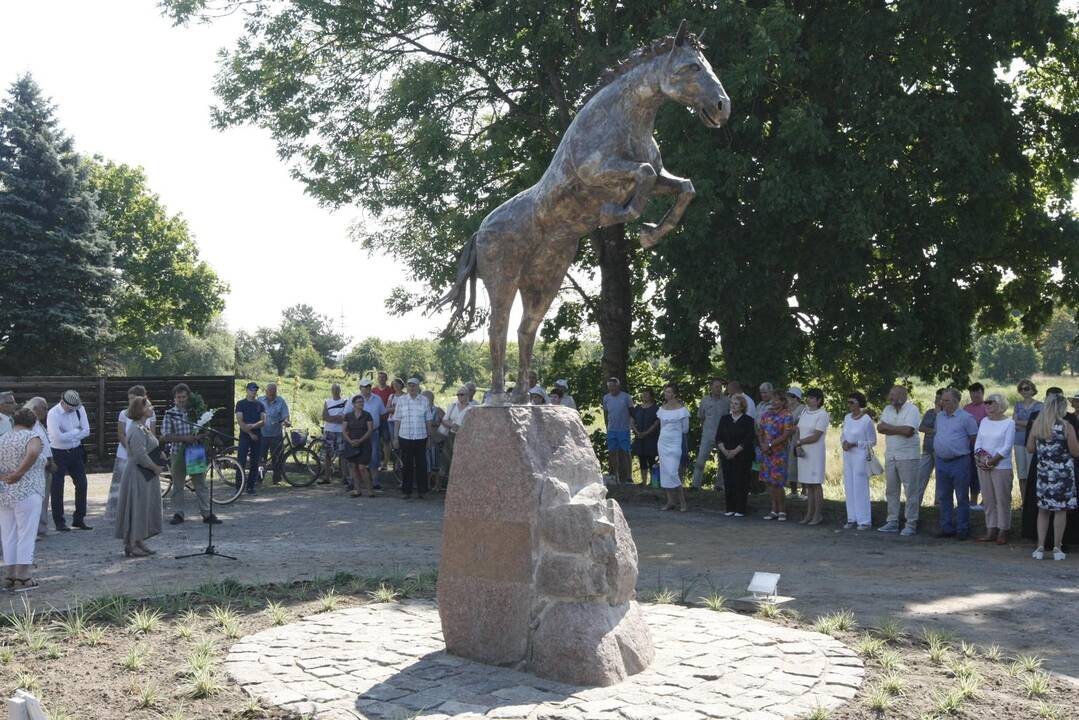 Priekulės miesto ir žirgų sporto šventė