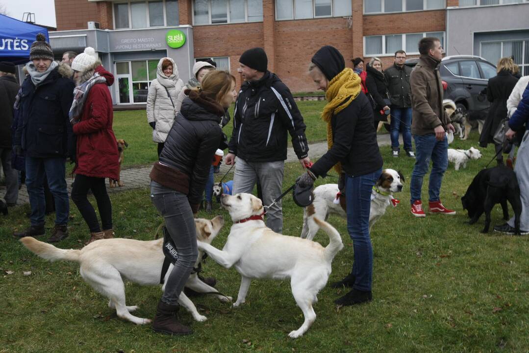 Keturkojų Kalėdos Klaipėdoje