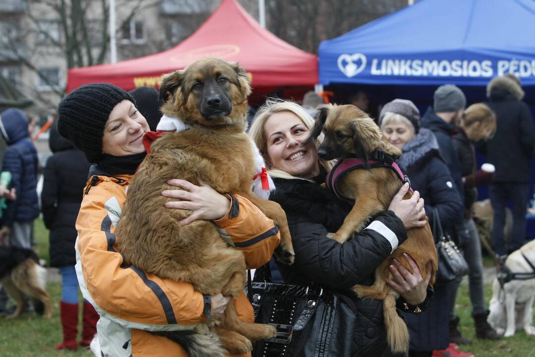 Keturkojų Kalėdos Klaipėdoje