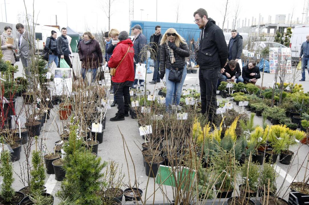 Klaipėdiečiai domėjosi aplinkos tvarkymo naujovėmis