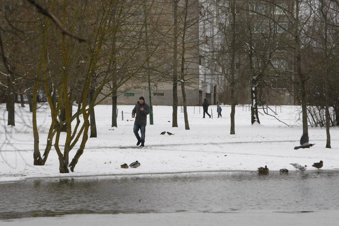 Ieškoti sliekų - į parką