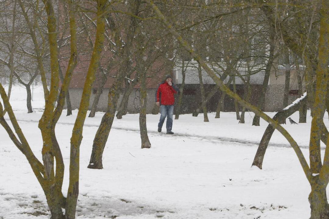 Ieškoti sliekų - į parką