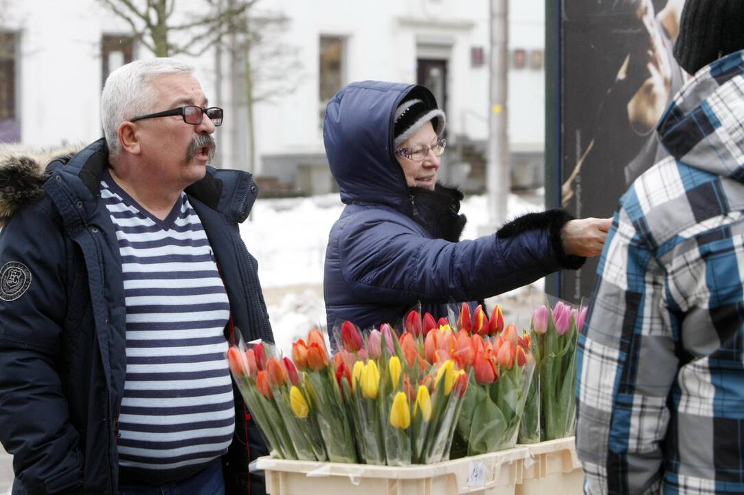 Uostamiestis pražydo tulpėmis