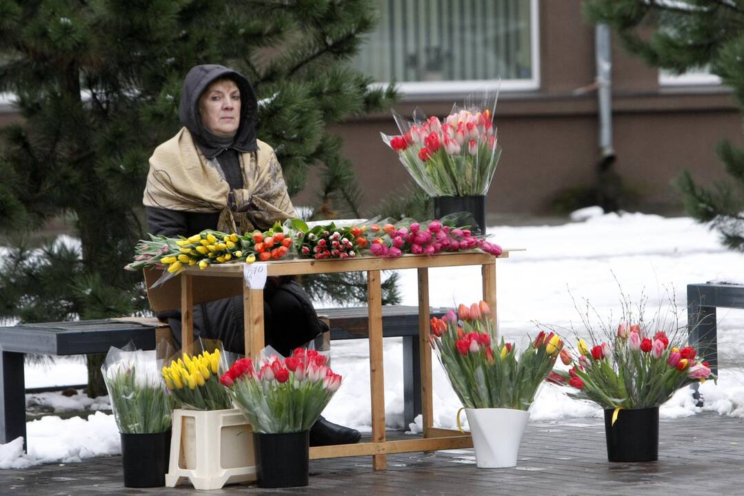 Uostamiestis pražydo tulpėmis