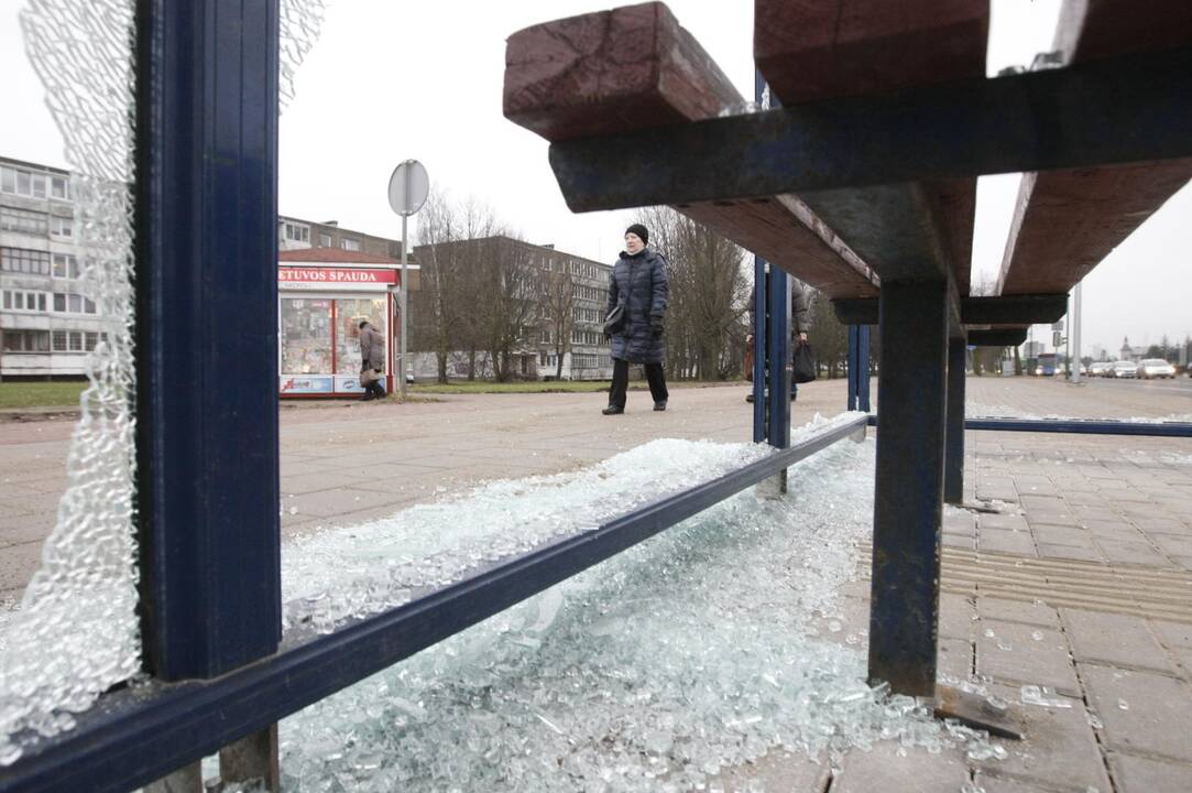 Klaipėdoje siaučia stotelių niokotojai