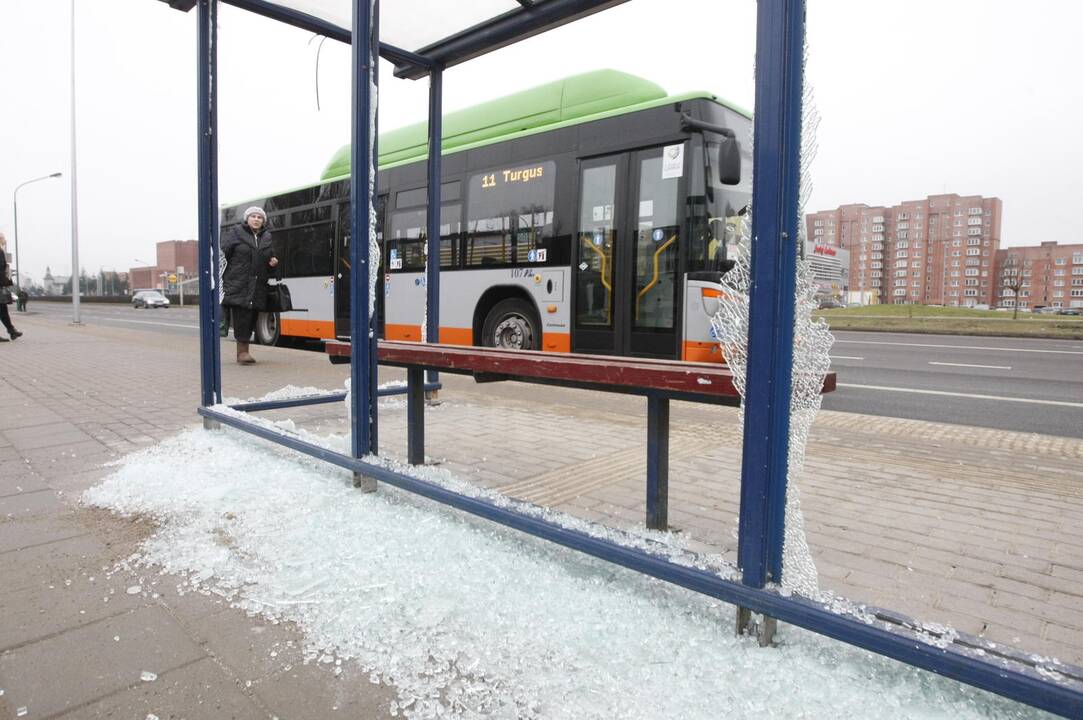 Klaipėdoje siaučia stotelių niokotojai