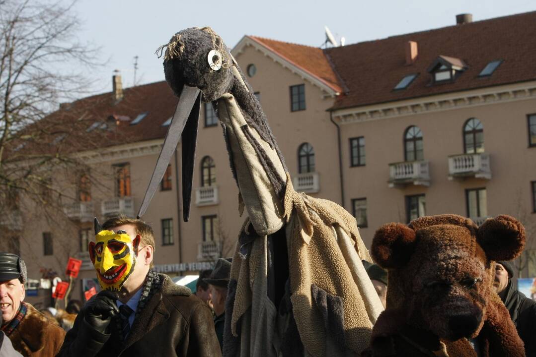 Užgavėnės 2016 Klaipėdoje