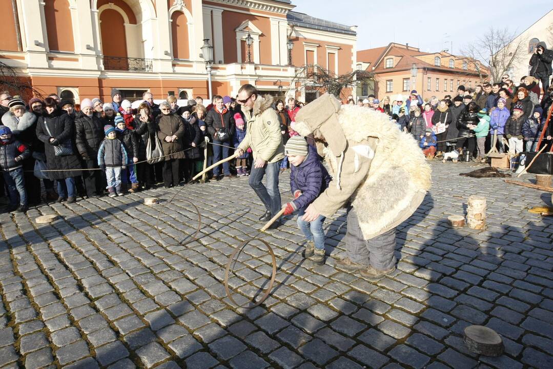 Užgavėnės 2016 Klaipėdoje