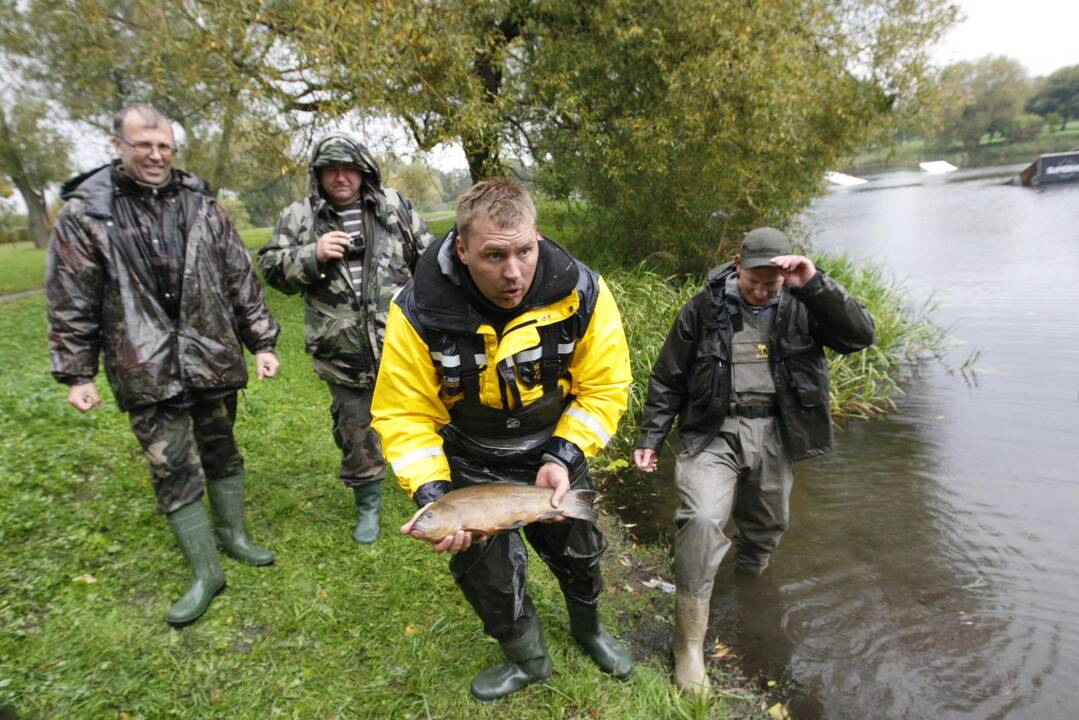 Laukžemių ežero žuvis perkėlė į Trinyčių tvenkinį