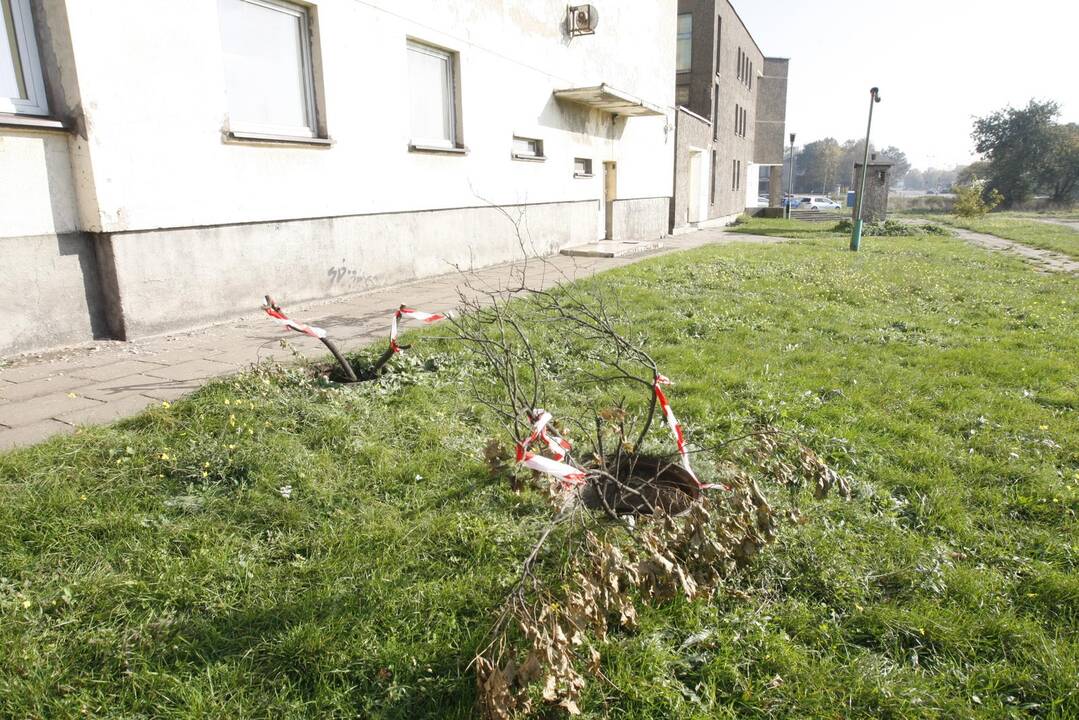 Į pamokas moksleiviai skuba per kliūčių ruožą