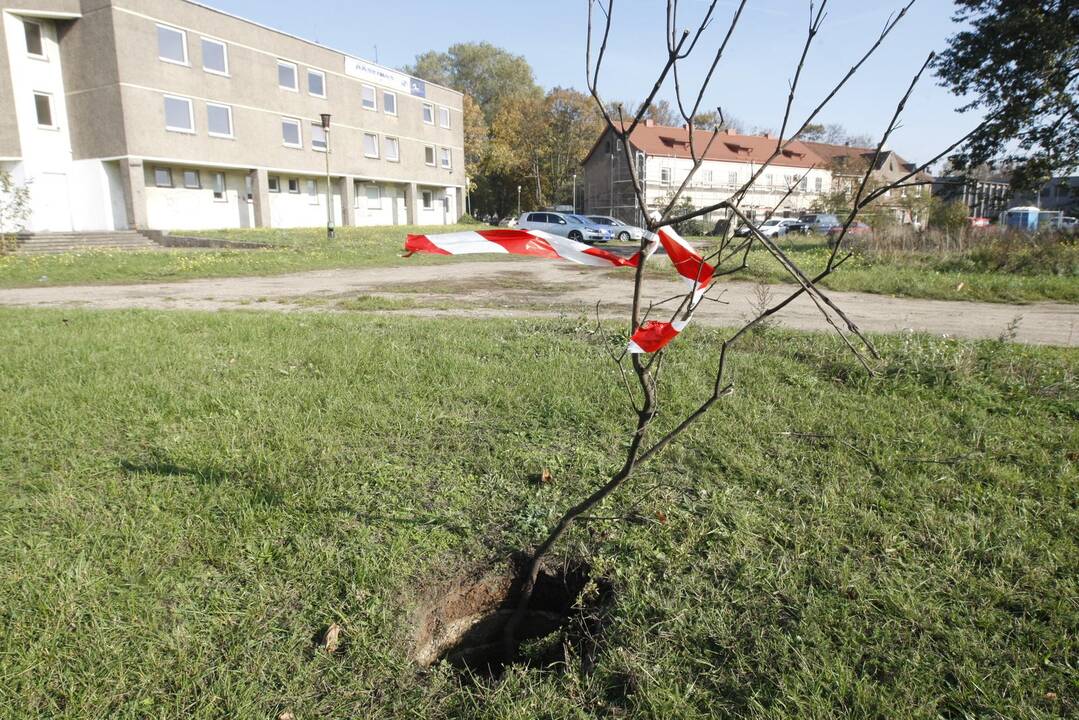 Į pamokas moksleiviai skuba per kliūčių ruožą